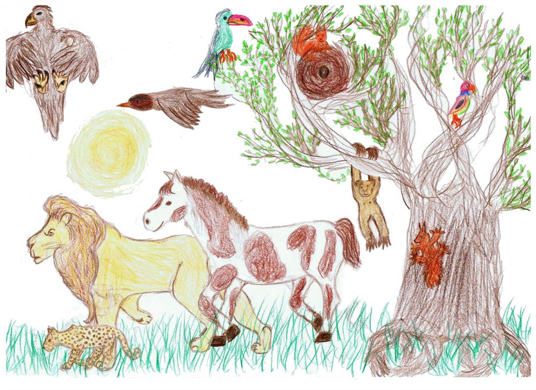 verschiedene Tiere: Löwe, Pferd, Affe, Vögel, Eichhörnchen, gemalt von Kinderhand
